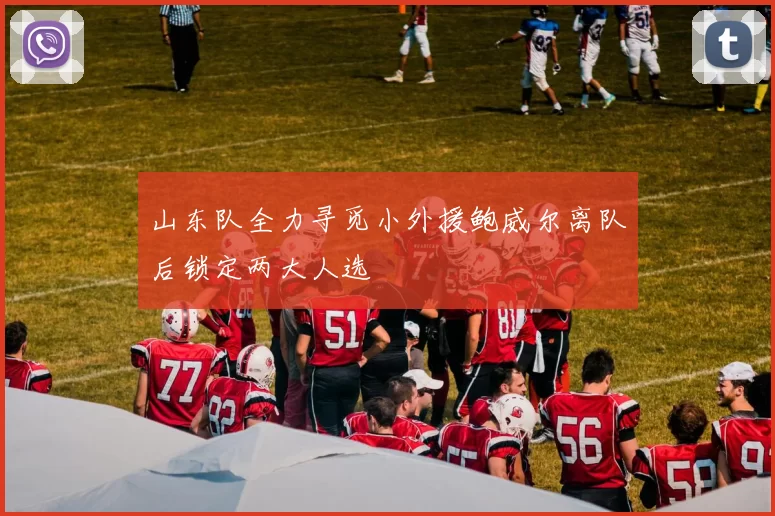 山东队全力寻觅小外援鲍威尔离队后锁定两大人选